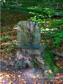 So sah der Walderlebnispfad 2012 aus