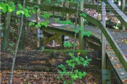 So sah der Walderlebnispfad 2012 aus