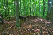 So sah der Walderlebnispfad 2012 aus