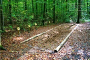 So sah der Walderlebnispfad 2012 aus