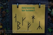 So sah der Walderlebnispfad 2012 aus