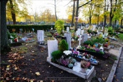 Hauptfriedhof in spaetherbstlichen Farben