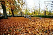 Hauptfriedhof in spaetherbstlichen Farben