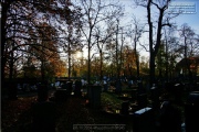Hauptfriedhof in spaetherbstlichen Farben