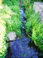 Heidingsfeld, liebevoll Haetzfeld genannt