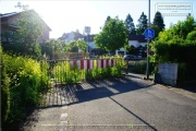 Heidingsfeld, liebevoll Haetzfeld genannt
