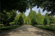 Hofgarten im Herbst 2022