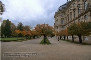 Hofgarten im November 2023