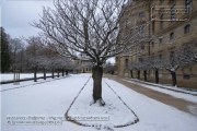 Hofgarten im Januar 2023