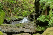 Klingenbachschlucht mit Wasserfall