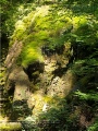 Klingenbachschlucht mit Wasserfall