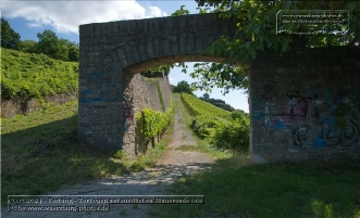Gruenanlage oberhalb der Maurmeierstrasse