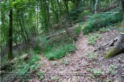 Friedrich-König-Anlage