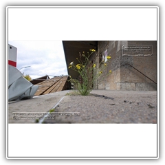 13.10.2013 - ehemaliger Bodenspeicher der HVA 005