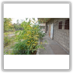 20.10.2019 - ehemaliger Bodenspeicher der HVA 009