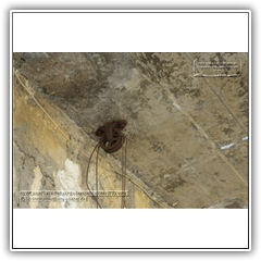 03.06.2021 - ehemaliger Bodenspeicher der HVA 005