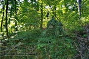 Lost Place - Nikolaushalden im Sommer 2022