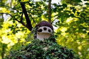 Lost Place - Nikolaushalden im Sommer 2022