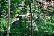 Lost Place - Nikolaushalden im Sommer 2022