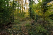 Lost Place - Nikolaushalden im Herbst 2023