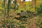 Lost Place - Nikolaushalden im Herbst 2023