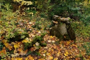 Lost Place - Nikolaushalden im Herbst 2023