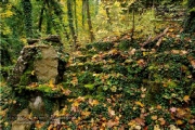 Lost Place - Nikolaushalden im Herbst 2023
