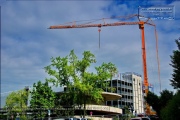 die letzten Fotos vor Beginn des Rueckbaus