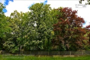Lost Place - Volksgarten 2021