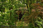 Lost Place - Volksgarten 2021