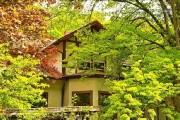 Lost Place - Volksgarten 2021