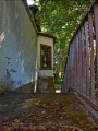 Lost Place - Volksgarten 2022