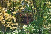 Lost Place - Volksgarten 2022
