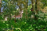 Lost Place - Volksgarten 2022