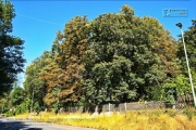 Lost Place - Volksgarten 2022