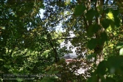 Lost Place - Volksgarten 2022