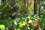 Lost Place - Volksgarten 2022