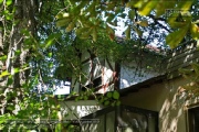 Lost Place - Volksgarten 2022