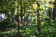 Lost Place - Volksgarten 2022