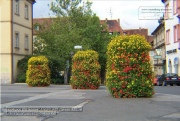 Marktplatz - damals und heute