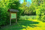 Naturlehrpfad Bromberg-Rosengarten