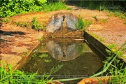 Naturlehrpfad Bromberg-Rosengarten