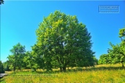 Naturlehrpfad Bromberg-Rosengarten