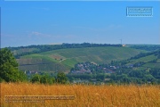 Naturlehrpfad Bromberg-Rosengarten