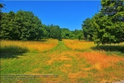 Naturlehrpfad Bromberg-Rosengarten