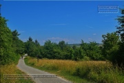 Naturlehrpfad Bromberg-Rosengarten