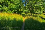 Naturlehrpfad Bromberg-Rosengarten