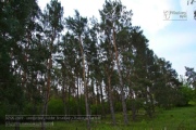 Kiliansdom
