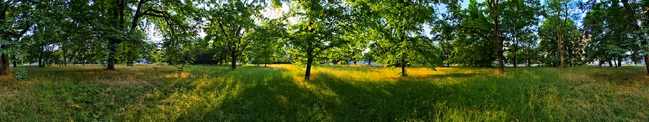 aus dem Berliner Ring