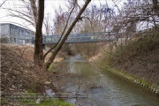 Pleichach - vom Greinberg zum Main